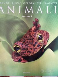 animali, enciclopedia per ragazzi 