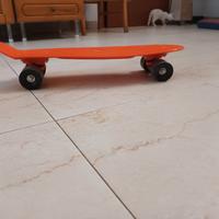 Skate bimbi