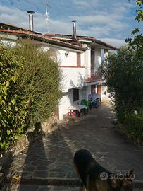 Villa con 2 appartamenti con giardino e piscina