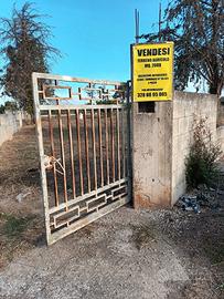 Terreno agricolo recintato