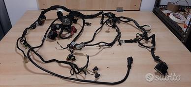 Impianto elettrico completo ducati monster 1100