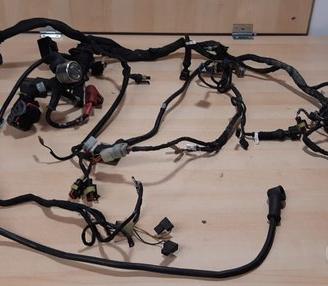 Impianto elettrico completo ducati monster 1100