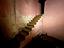 Immagine 18