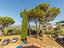 Immagine 15