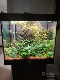  Acquario juwel rio 200