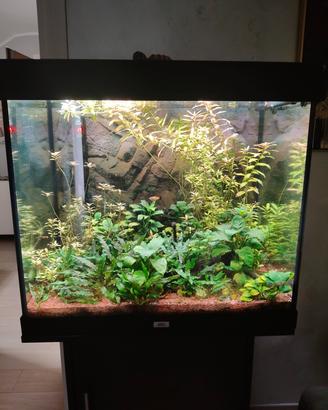  Acquario juwel rio 200