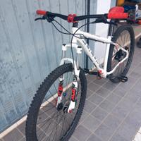 mtb focus 29"