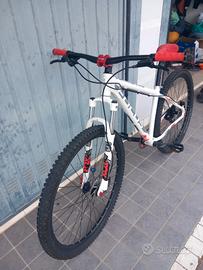 mtb focus 29"