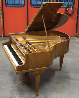 PIANOFORTE CODA PLEYEL PRONTO PER SUONARE