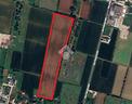 ter-agricolo-a-pianiga