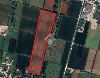 TER. AGRICOLO A PIANIGA