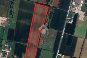 TER. AGRICOLO A PIANIGA
