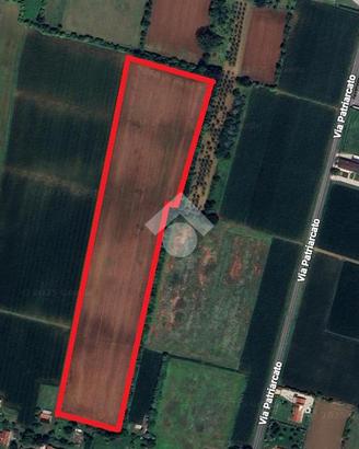 TER. AGRICOLO A PIANIGA