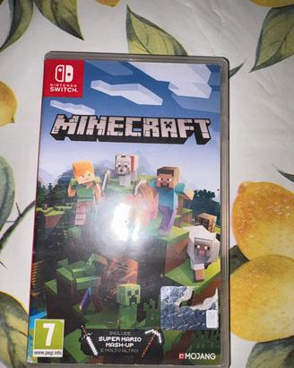 Minecraft nintendo switch