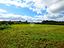 Immagine 13
