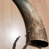 antico corno porta utensili