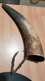 antico corno porta utensili