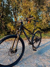 Bici mtb Sunn