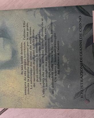 Libro di silvana de mari l’ultimo elfo