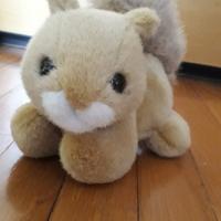 Peluche - scoiattolo TRUDI