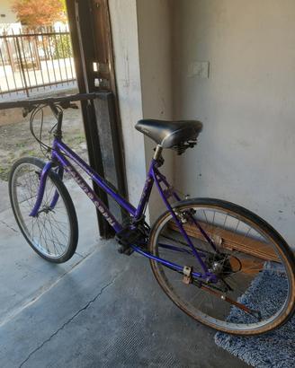 bici da donna sportiva 