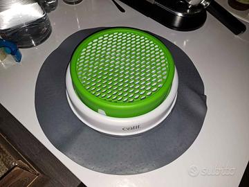 Erba gatta contenitore