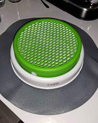 Erba gatta contenitore