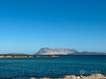 Elegante Villa Bifamiliare direttamente sul Mare