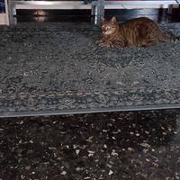 tappeto buone condizioni 