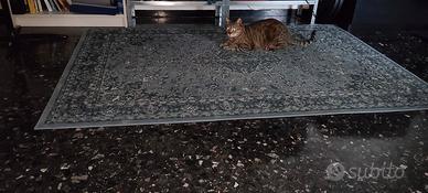 tappeto buone condizioni 