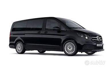 Licenza NCC Looking For Treviso/Belluno