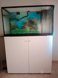 acquario per tartarughe e pesci