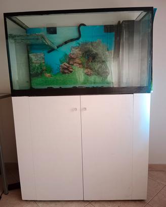 acquario per tartarughe e pesci