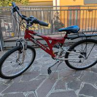 Bicicletta da ragazzo 21"