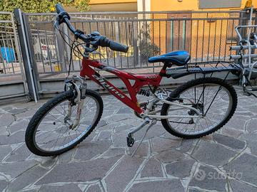 Bicicletta da ragazzo 21"