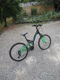 Bicicletta Climbe