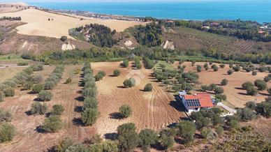 RUSTICO A ROSETO DEGLI ABRUZZI