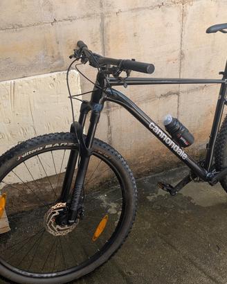 Cannondale Trail SL3