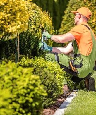 Pulizia e sistemazione giardini 