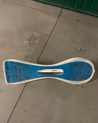 skateboard 2 ruote