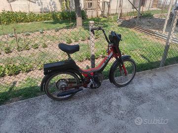 Motorino Day