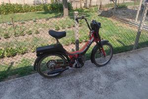 Motorino Day