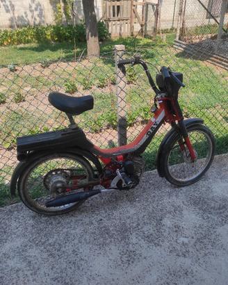 Motorino Day