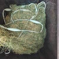 rete da pesca tramaglio 