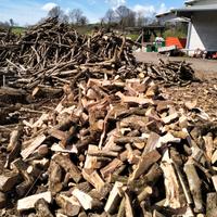 legna da ardere per camino e termocamino 