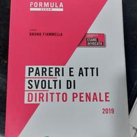 Fiammella Bruno, Pareri e atti di Diritto Penale