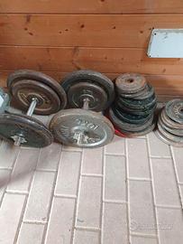 Palestra multifunzione