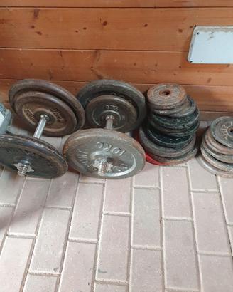 Palestra multifunzione