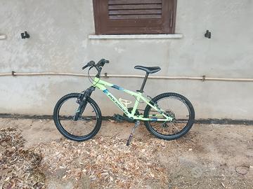 bicicletta mountain bike