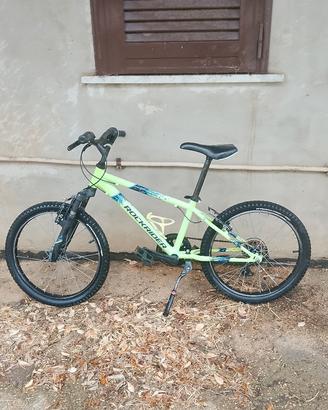 bicicletta mountain bike